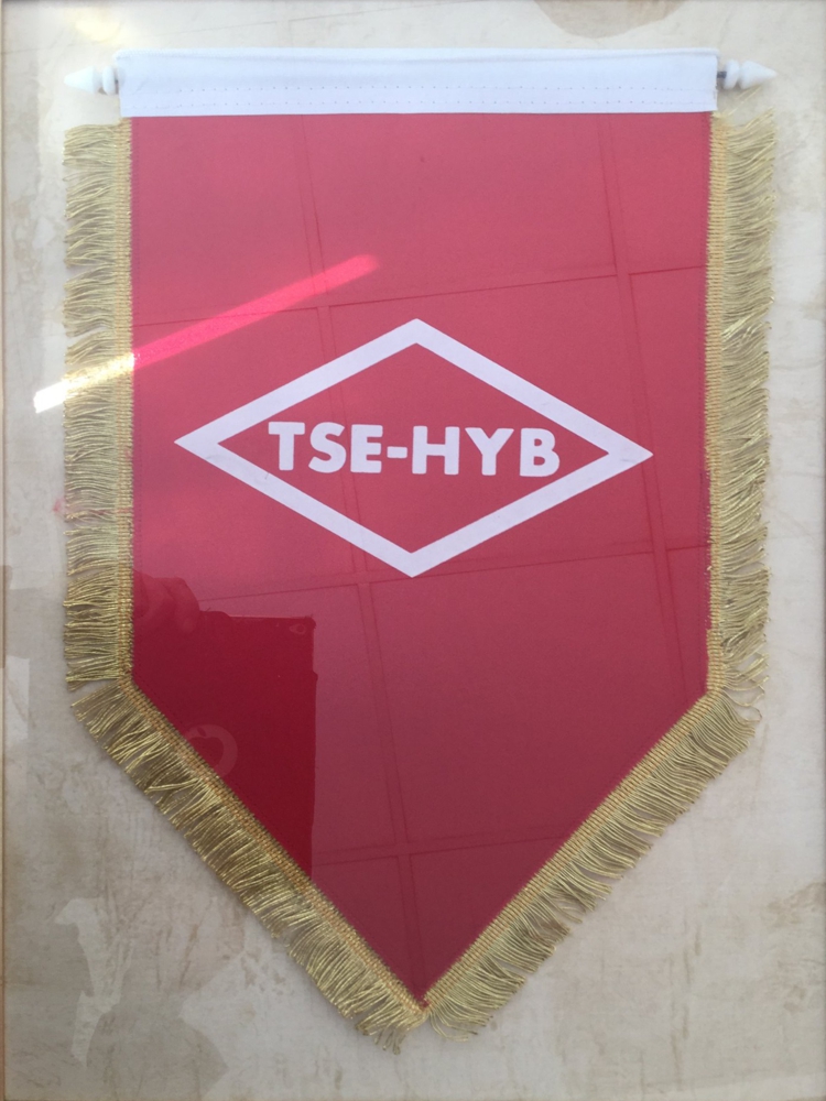 TSE Bayrak Edremit Oto Ekpertiz